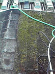 P1000120.jpg