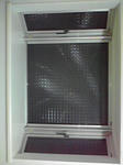 P1000146.jpg