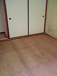 P1000150.jpg