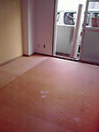 P1000167.jpg