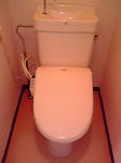 P1000177.jpg
