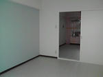 P1000195.jpg