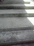 P1000201.jpg