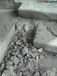 P1000206.jpg