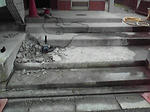 P1000207.jpg