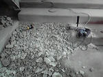 P1000209.jpg