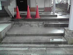 P1000210.jpg