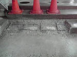 P1000211.jpg