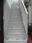 P1000228.jpg