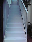 P1000229.jpg