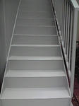 P1000232.jpg