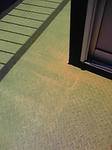 P1000230.jpg