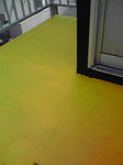 P1000234.jpg