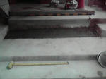 P1000236.jpg