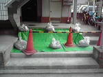P1000237.jpg