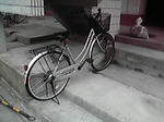 P1000239.jpg