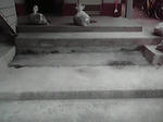 P1000240.jpg