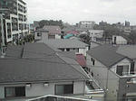 P1000253.jpg