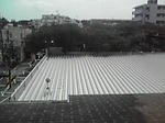 P1000254.jpg