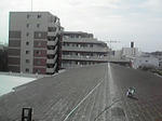 P1000255.jpg