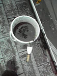 P1000261.jpg
