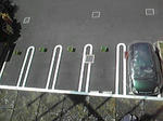 P1000264.jpg