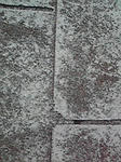 P1000283.jpg