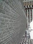 P1000284.jpg