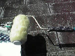 P1000293.jpg