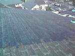 P1000297.jpg