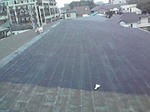 P1000302.jpg