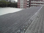 P1000304.jpg