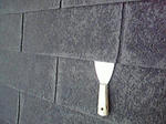 P1000305.jpg