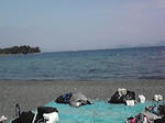 P1000313.jpg