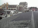 P1000316.jpg