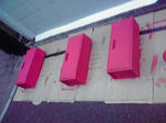 P1000348.jpg