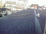 P1000384.jpg