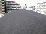 P1000388.jpg