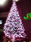 P1000413.jpg