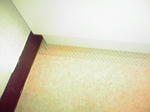 P1000441.JPG