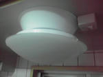 P1000531.JPG