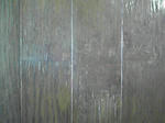 P1000533.JPG