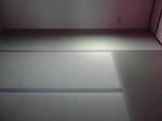 P1000536.JPG