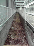 P1000534.jpg