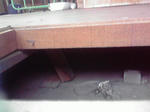 P1000541.JPG
