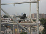 IMG_5690.jpg