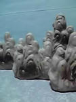 11-02-06_005.jpg