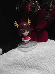 12-12-20_004.jpg