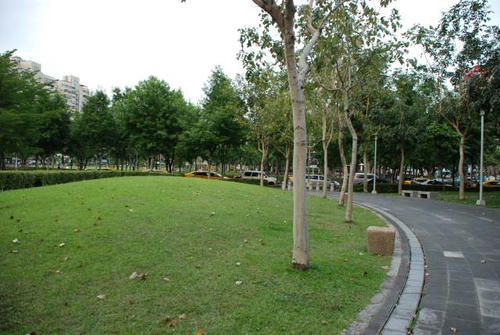 312934c1.jpg