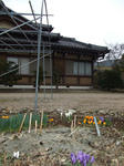 DSCF1051.JPG